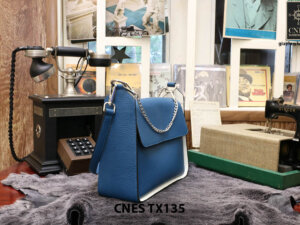 Túi xách thời trang nữ đeo vai CNES TX135 003