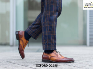 Giày tây nam Wingtips phối màu Oxford O2255 004